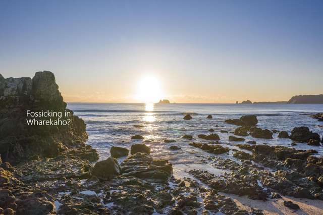26 Powhiri Place, Simpson's Beach, Wharekaho Whitianga_1