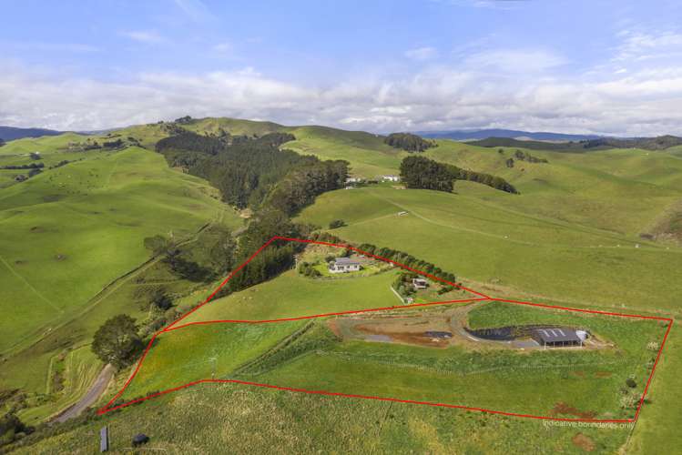 218b Houchen Road Raglan_6