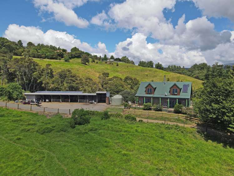 80A Wainui South Road Whakamarama_18