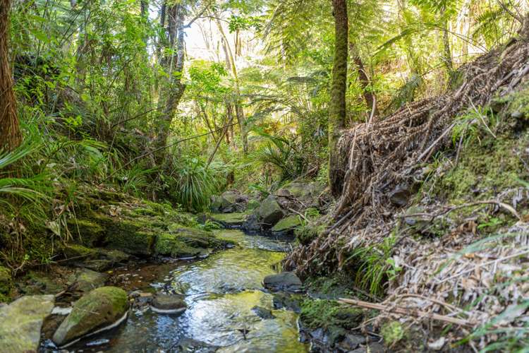 1220F Te Rerenga Kuaotunu Road Kuaotunu_29