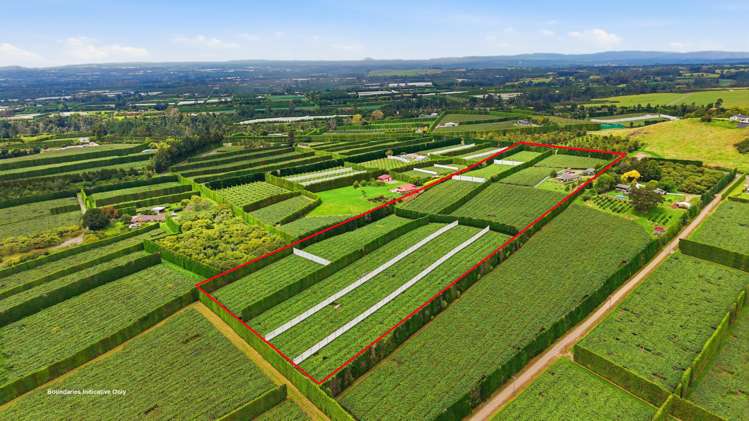 840 No 3 Road Te Puke_30