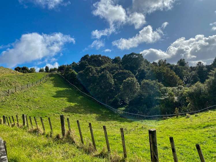 452 Moir Hill Road Warkworth_1