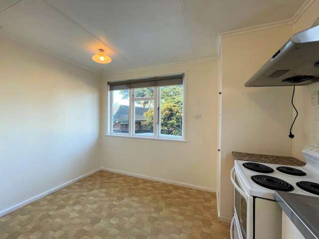 1446 Dominion Road Mount Roskill_3