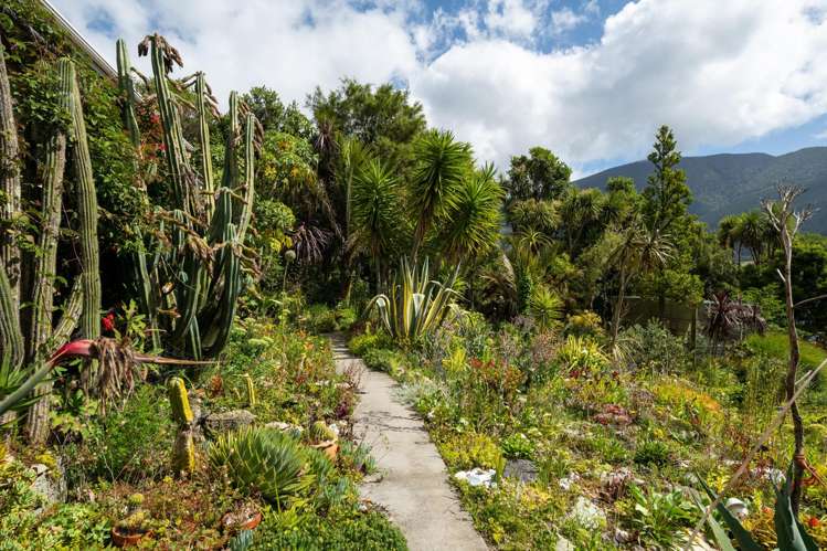Lot 1 Anakoha Bay Marlborough Sounds_60