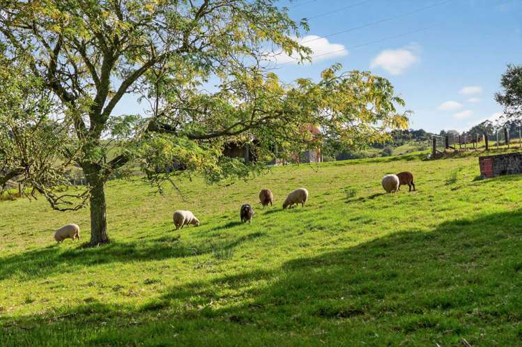 311 Franklin Road Paparoa_33