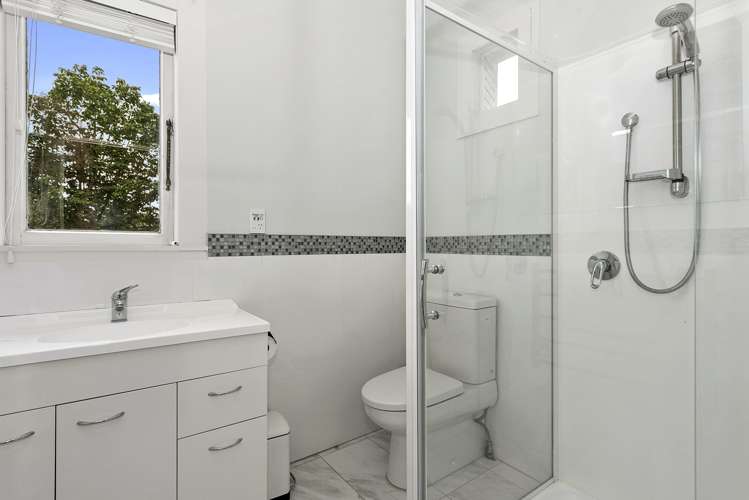 43 Albert Street Hamilton East_7