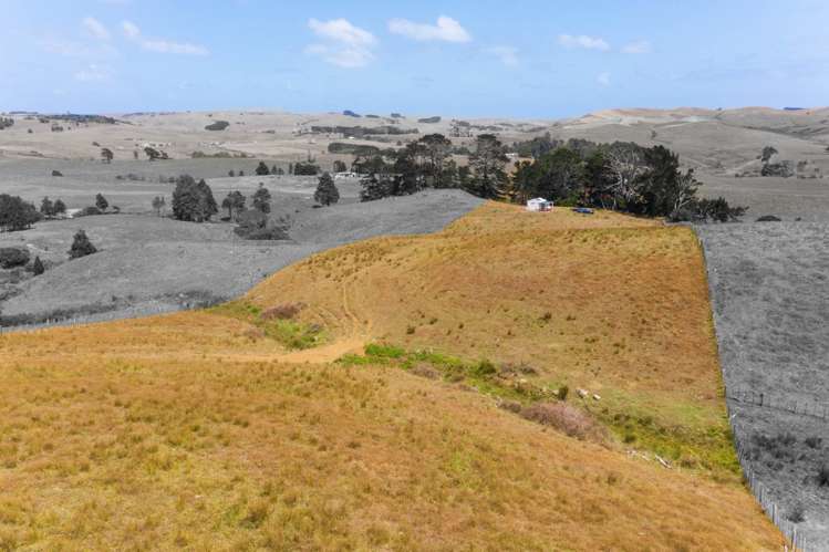 1149 Waikaretu Valley Road Waikaretu_5