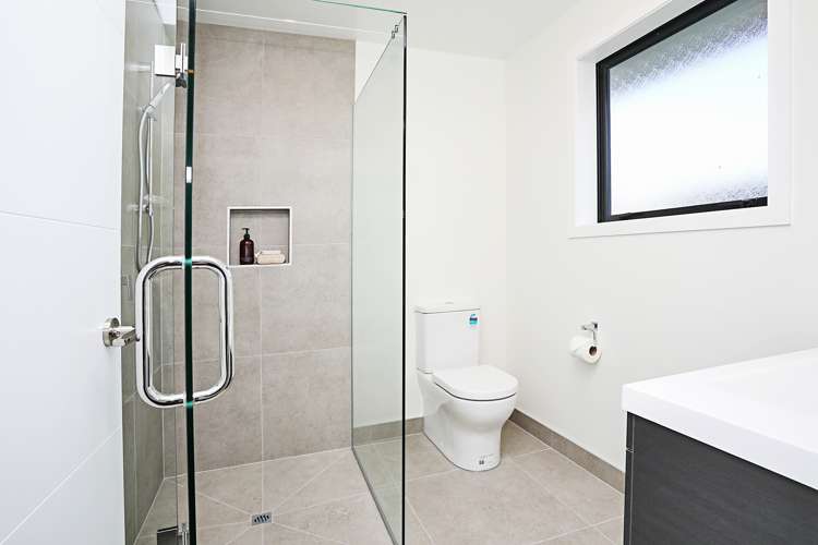 329 Layard Street Waverley_12