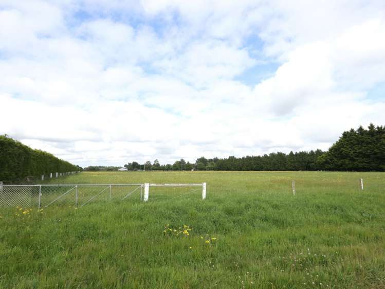 86 Carters Terrace Tinwald_3