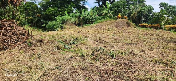 Lot 11 Raintree Estate, Oneva Savusavu_4