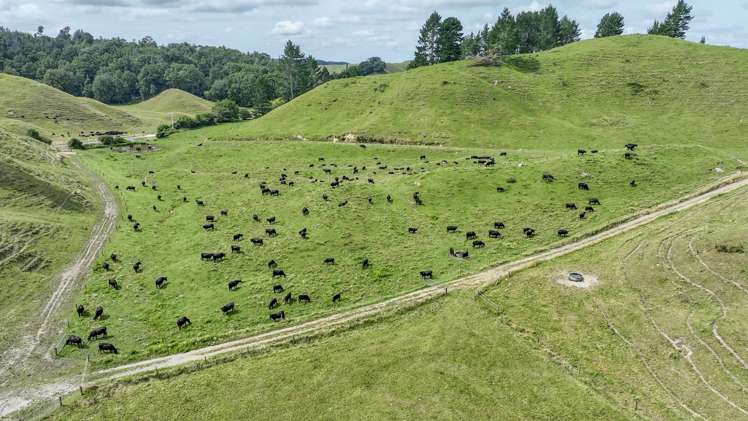 248 Lichenstein Road Okere Falls_23