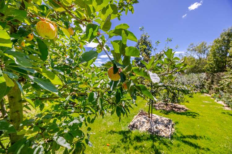 112A Mt Herbert Road Waipukurau_31