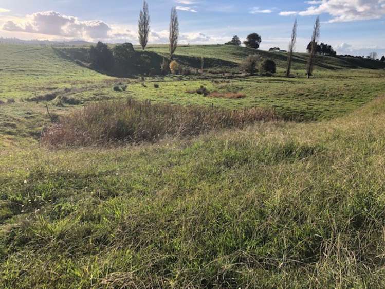 State Highway 3 Waitomo_7