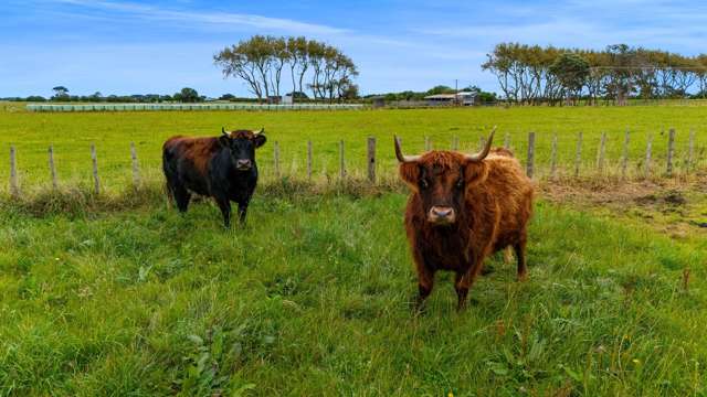 1544 South Road Manutahi_3