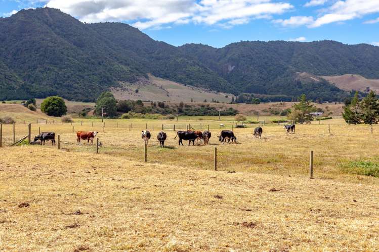 1961 Old Te Aroha Road Gordon_9