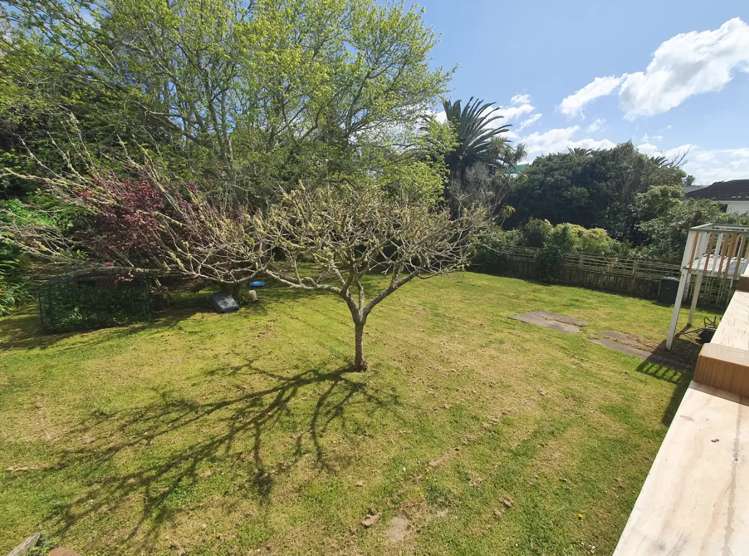 29 Roberta Avenue Glendowie_13