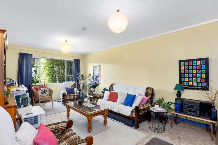 217 Larnach Road Waverley_22