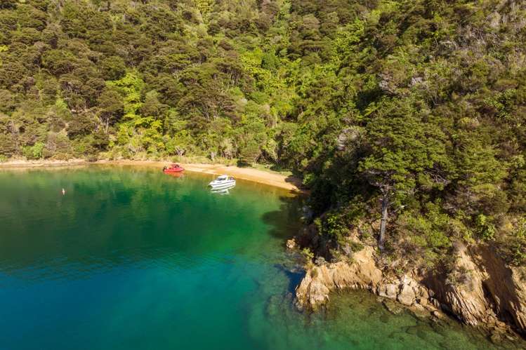 Cherry Bay, Ruakaka Bay Marlborough Sounds_26