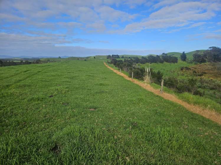 2299 State Highway 1 Waiharara_14