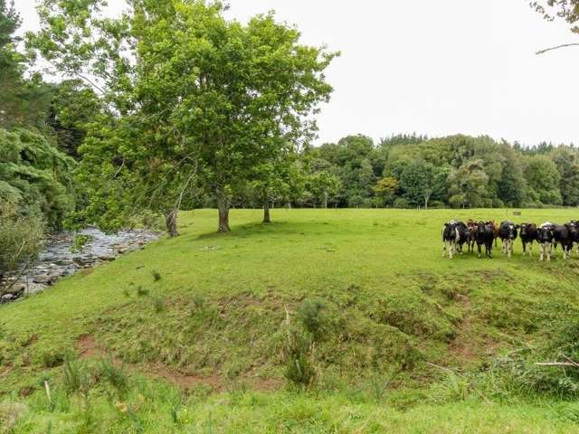 1059 Mountain Road Inglewood_4