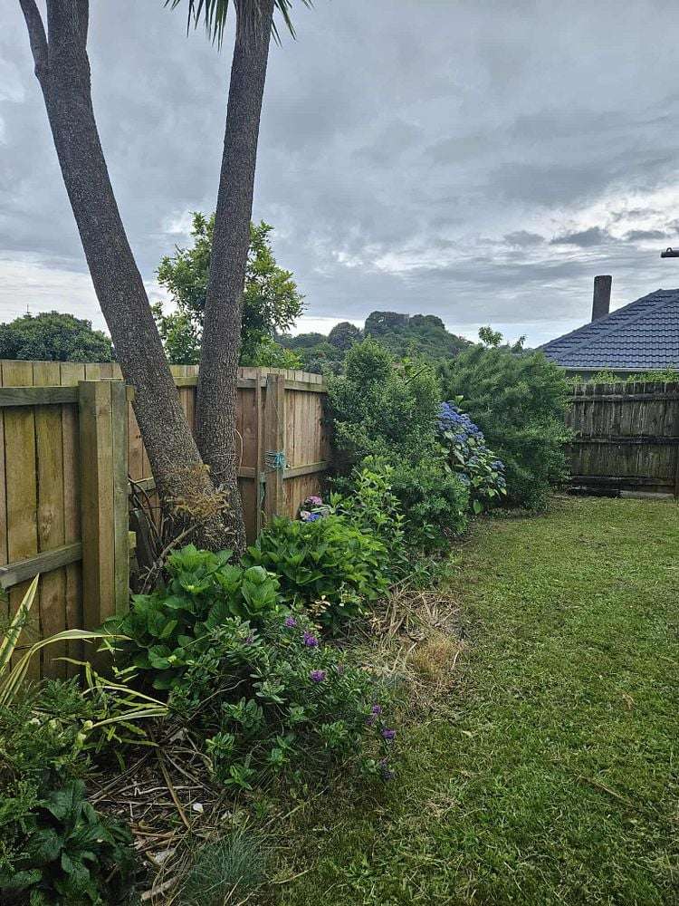 6 Simmonds Avenue Mount Roskill_13