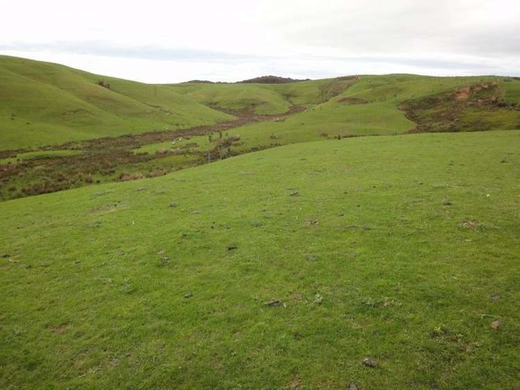 509 Mangaramarama Road Pahiatua_2