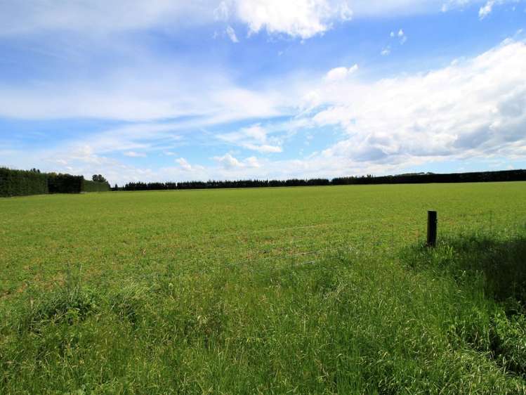 1199 Telegraph Road Darfield_14