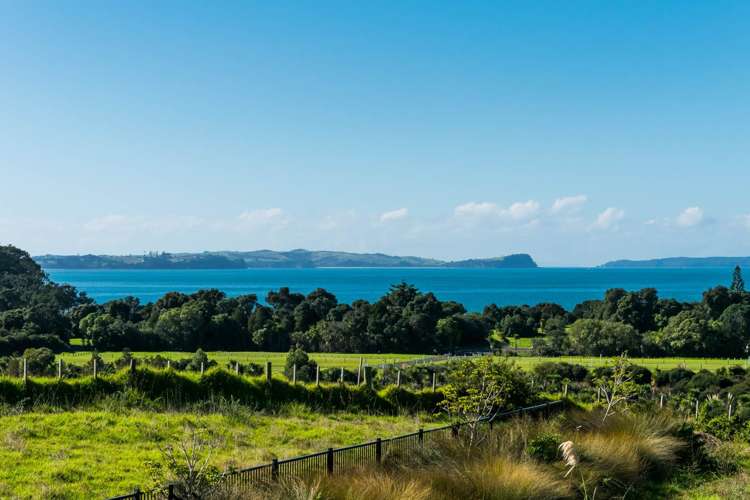 49 Bounty Road Long Bay_3