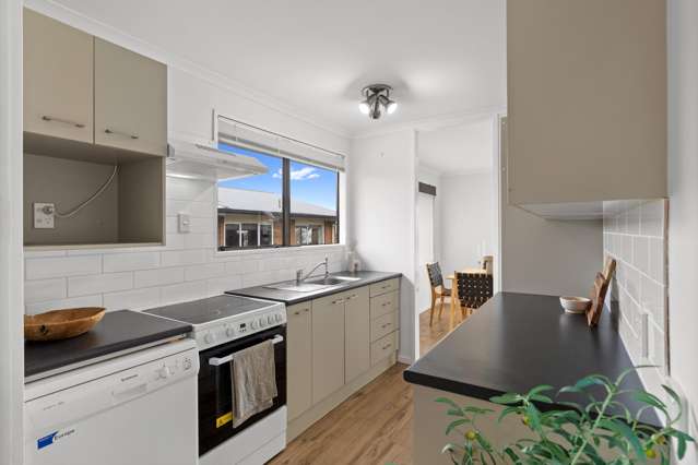 69 Young Street Morrinsville_4