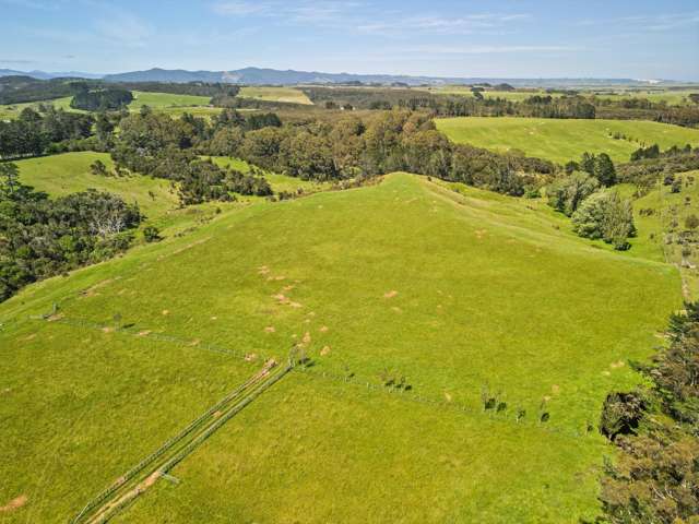 105 Pairatahi Road Kaingaroa_4