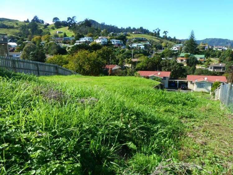 137 Herewaka Street Thames_2