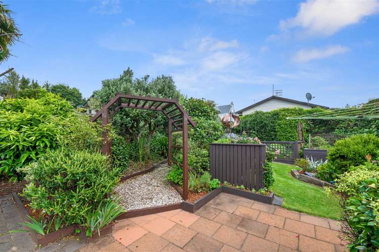 1 Kiwi Street Springfield_13