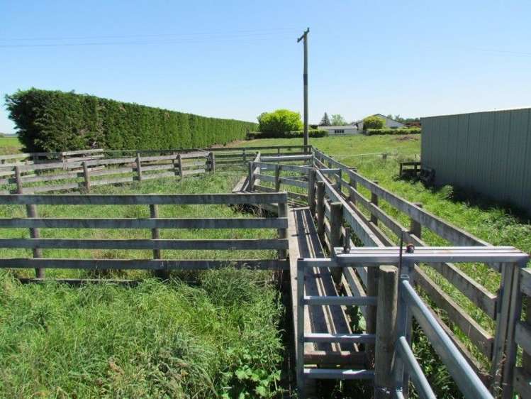 255 Cowans Road Leeston_8