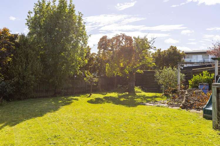 50 Birch Street Hilltop_6