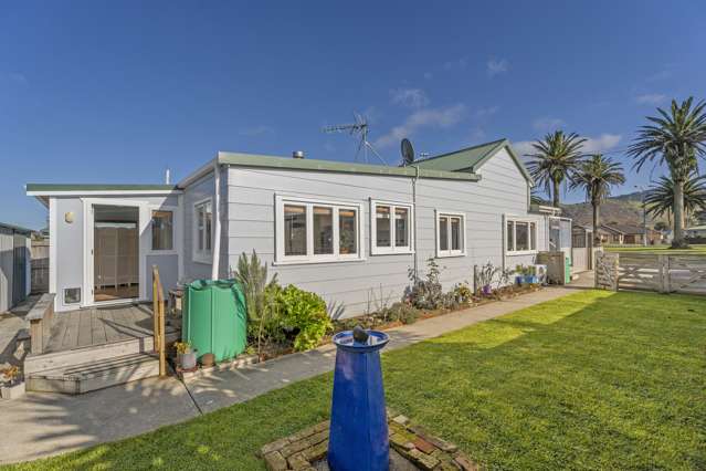 103A Parry Palm Avenue Waihi_1