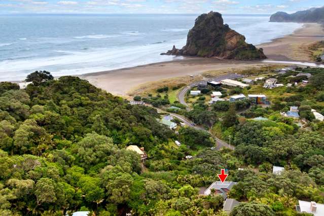 Sea views at South Piha.