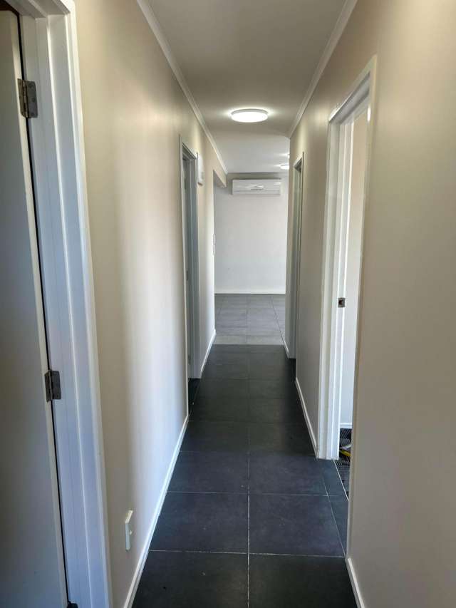 Matthews Road Flat Bush_4