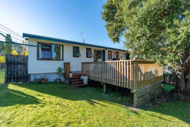 149A Ellicott Road Nawton_17