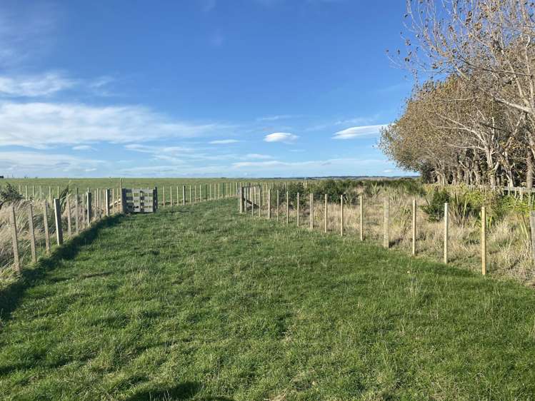 188 Reynolds Road Ratana_7