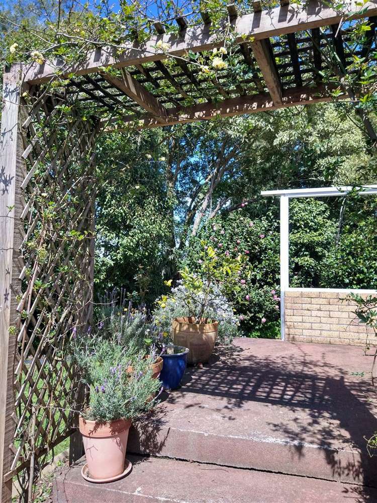 583 Kopuku Road Maramarua Forest_32