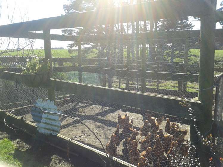 53 Inland North Road Tikorangi_11