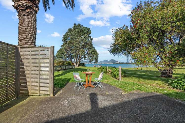 52 One Tree Point Road One Tree Point_7