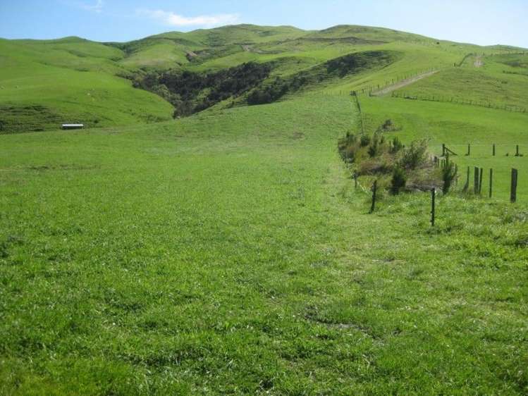 858 Oporae Road Waione_9