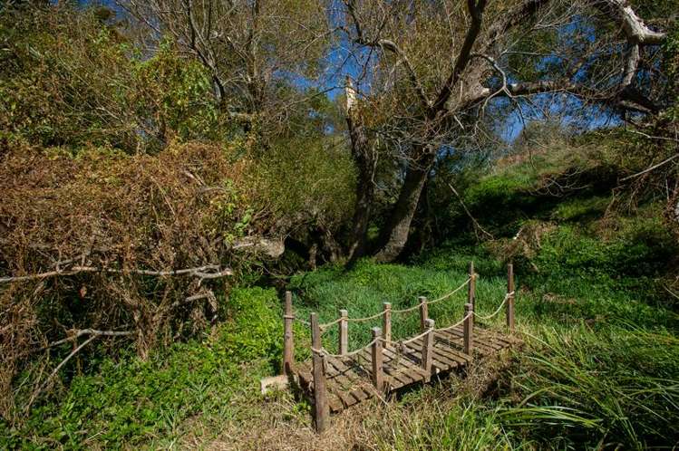 371 Old Te Aroha Road Okauia_20