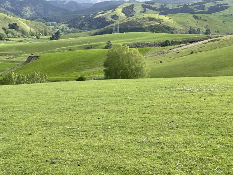 8 Munro Road Lawrence_7