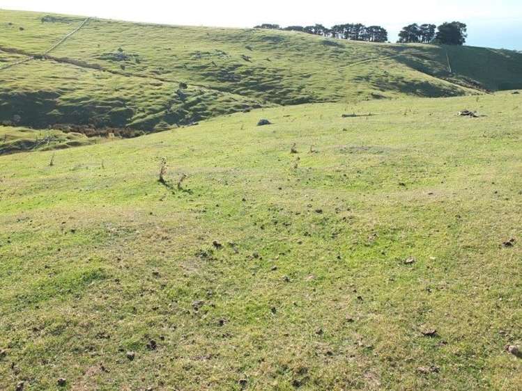 831 Chorlton Road Little Akaloa_11