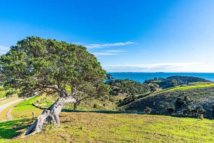 13 Lots Wawata Estate, Waiheke Island_11