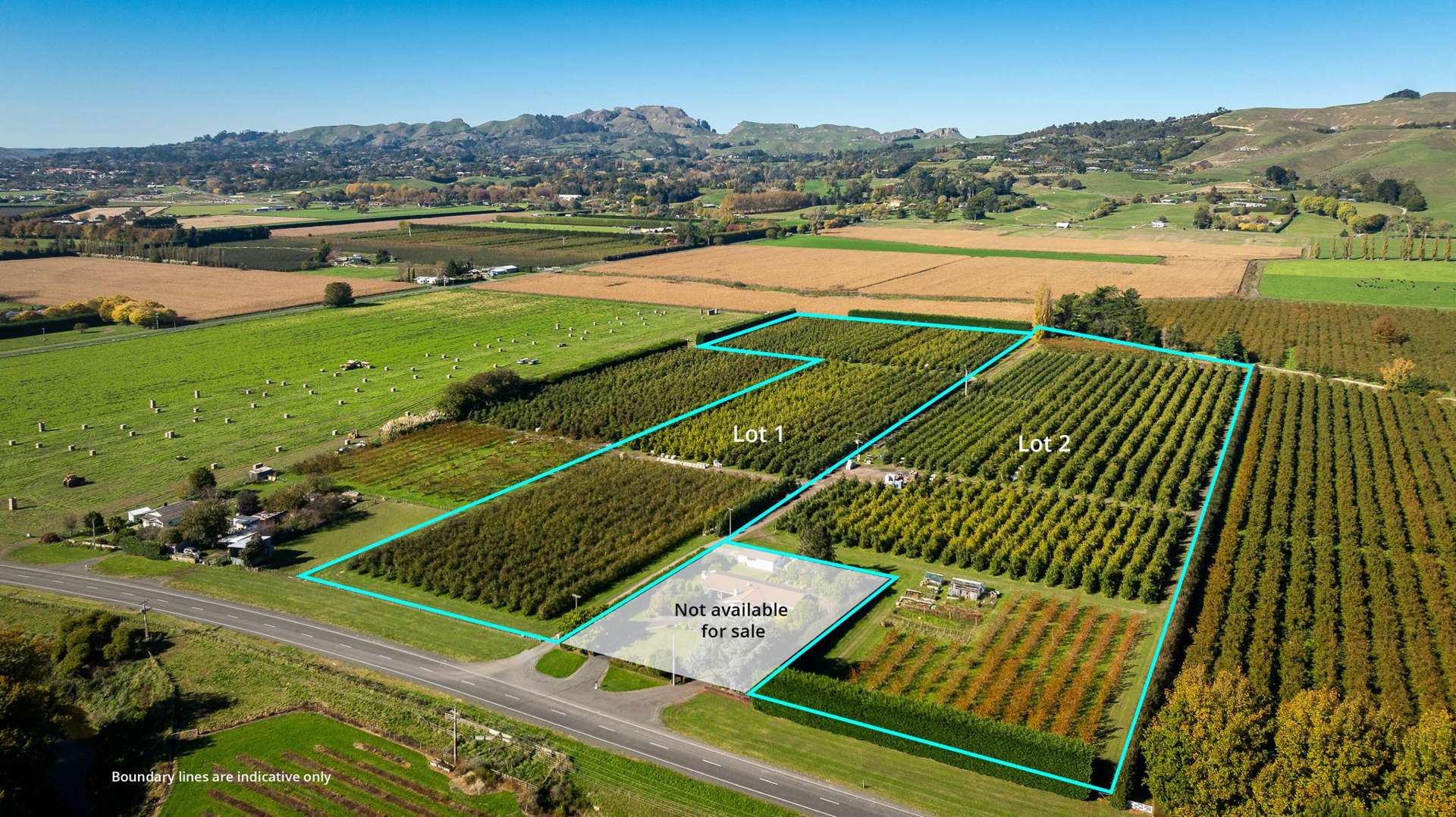 83 Mount Erin Road Havelock North_0