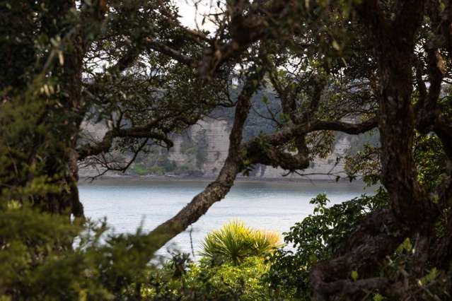 68-70 Matakatia Parade Matakatia_4