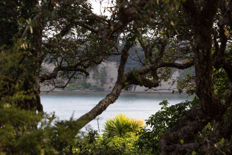 68-70 Matakatia Parade Matakatia_3